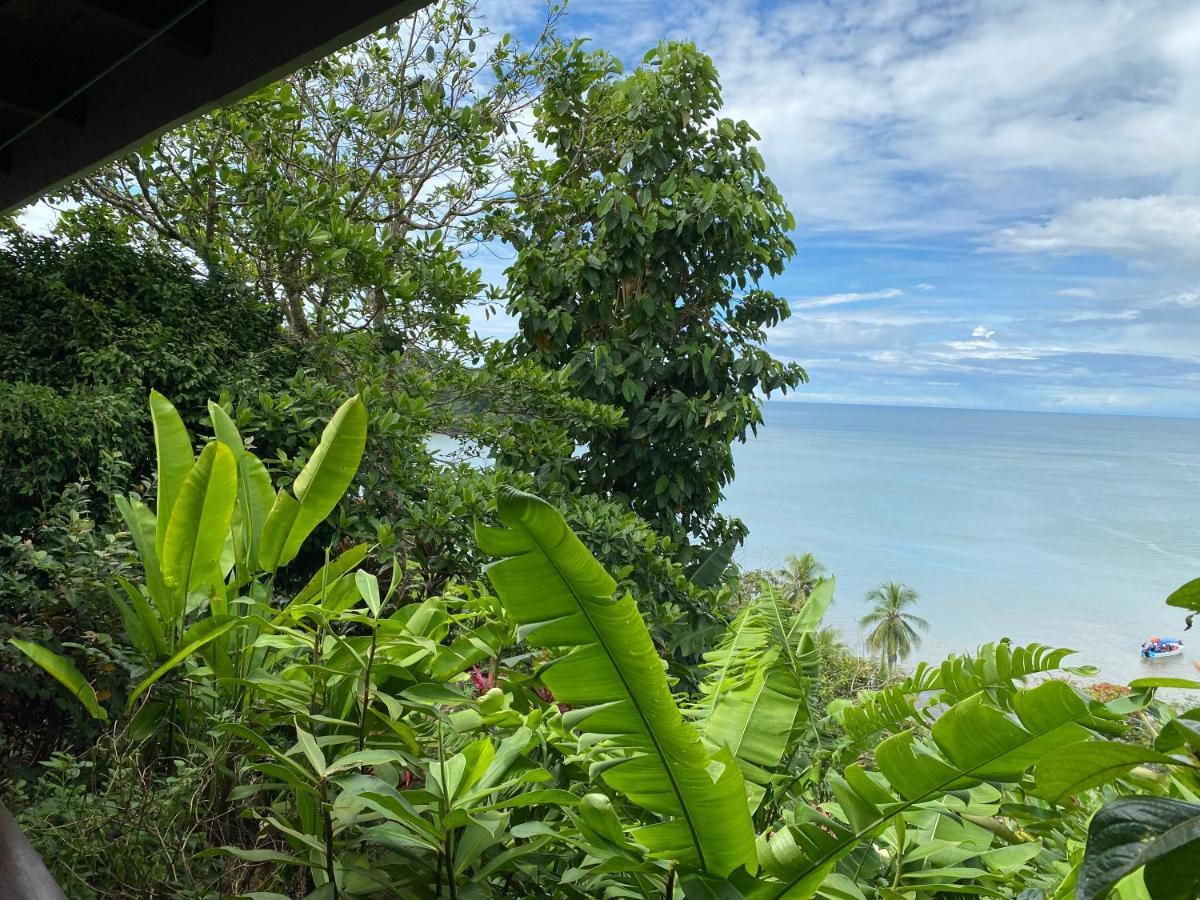 Cabana Ara Macao Lodge Drake Bay ภายนอก รูปภาพ