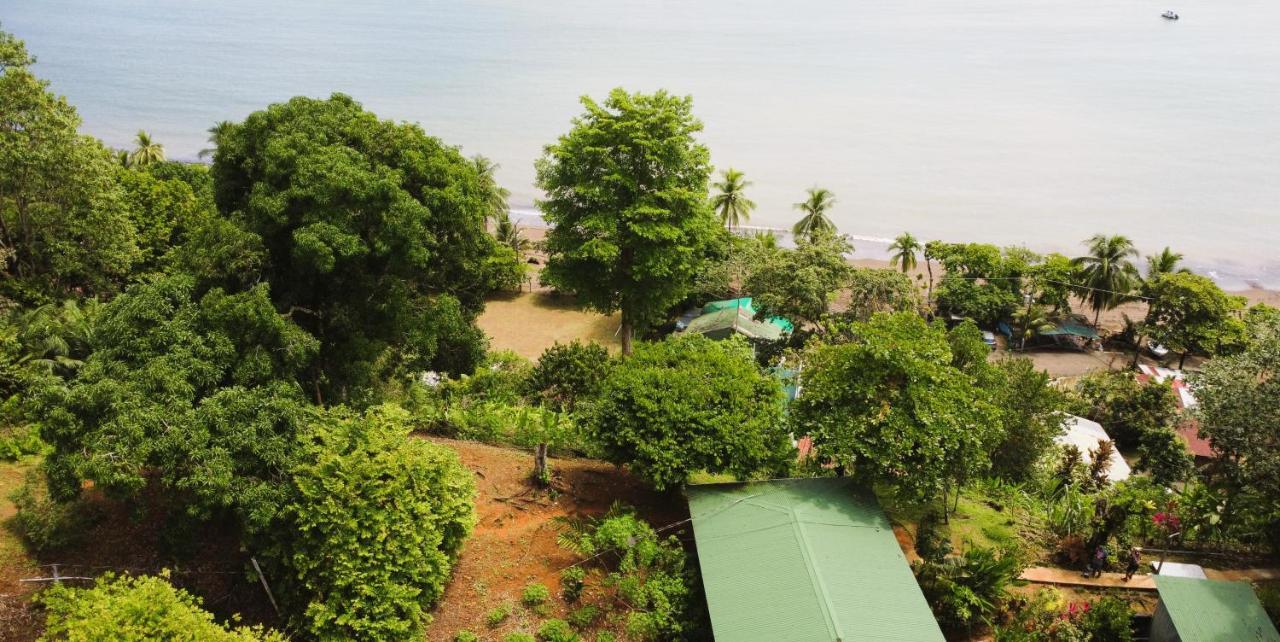 Cabana Ara Macao Lodge Drake Bay ภายนอก รูปภาพ