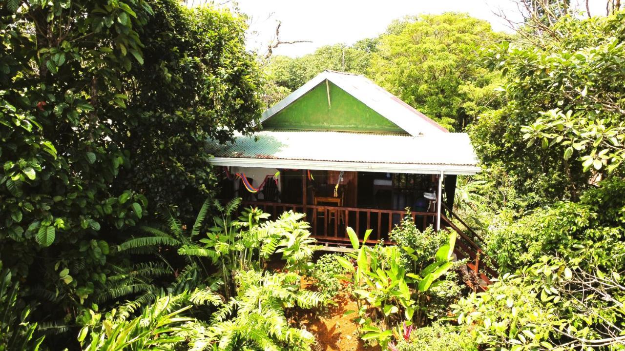 Cabana Ara Macao Lodge Drake Bay ภายนอก รูปภาพ