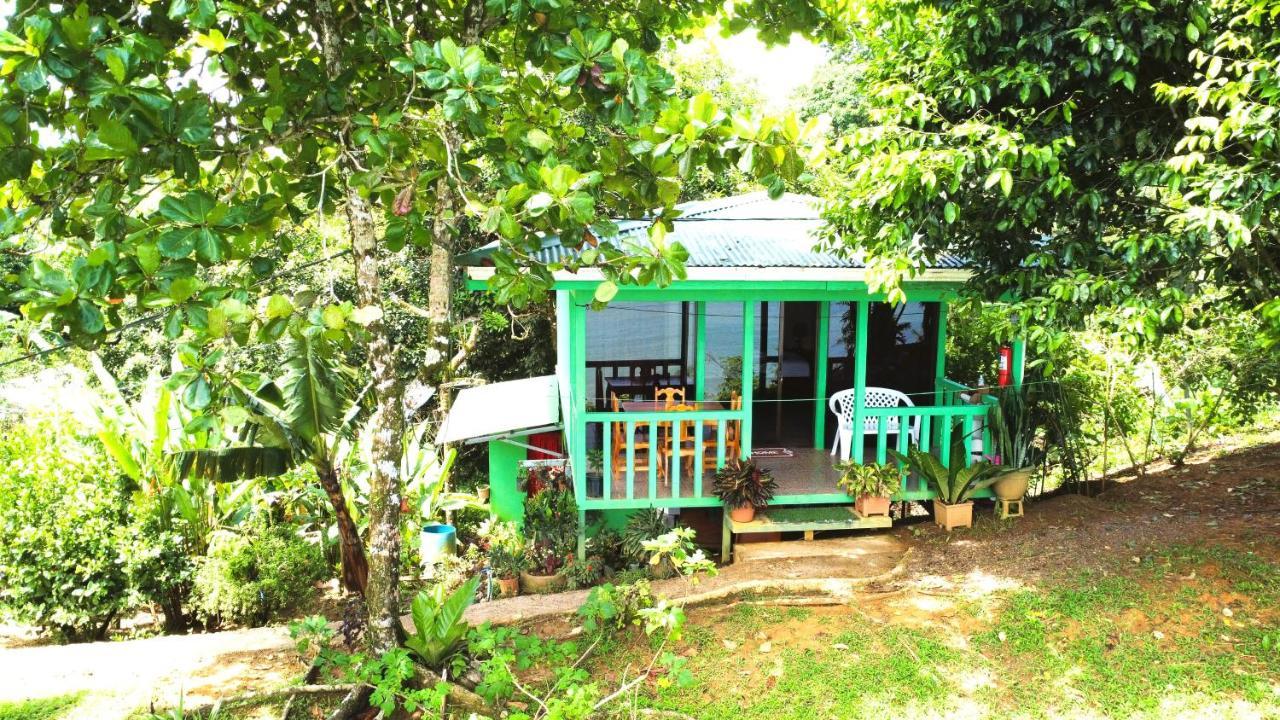 Cabana Ara Macao Lodge Drake Bay ภายนอก รูปภาพ
